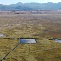 Rezervat pod Gredom - plane