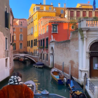 Ljupka Gojić Mikić