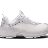 Dior Vibe