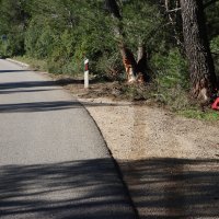 Mjesto pogibije trojice mladića na Korčuli