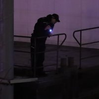 Potraga za Matejom Perišem