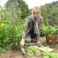 Kornelija Benyovsky Šoštarić