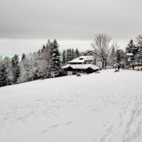Prvi ovogodišnji snijeg zabijelio Medvednicu