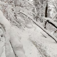 Prvi ovogodišnji snijeg zabijelio Medvednicu