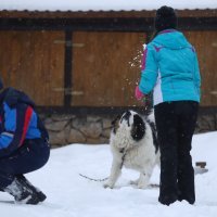 Skijanje na Bjelašnici