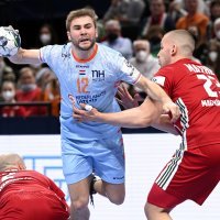 Mađarska - Nizozemska