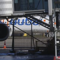 Doček Novaka Đokovića u Beogradu