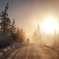 Najhladniji maraton na svijetu