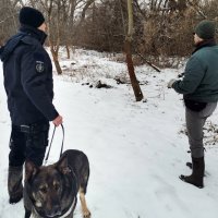 Potraga za Matejem Perišem