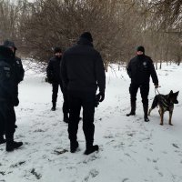 Potraga za Matejem Perišem