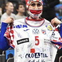 Hrvatska - Nizozemska, navijači