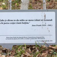 Kod stabla kestena Anne Frank Pula je obilježila Dan sjećanja na žrtve holokausta