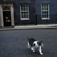Downing street 10