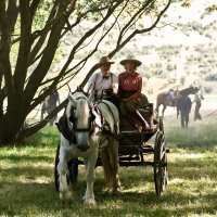 The Power of the Dog