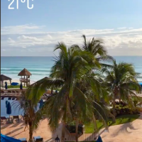 Maja Šuput i Nenad Tatarinov s Bloomom u Meksiku