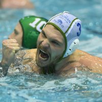 Jadran - Ferencvaros