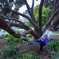 Prosvjedi na Novom Zelandu