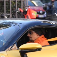 Zlatan Ibrahimović Ferrari