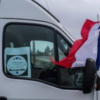 Konvoj slobode u Belgiji