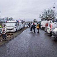 Konvoj slobode u Belgiji