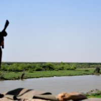 Snaga narodne mobilizacije