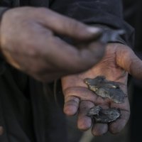 Selo Tamarčuk na prvoj liniji fronte