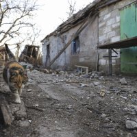 Selo Tamarčuk na prvoj liniji fronte