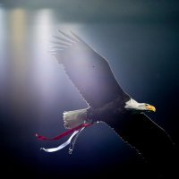 Liga prvaka: Benfica - Ajax, 23.02.2022.