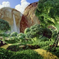 Brocolli Forest
