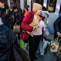Ukrajinci spašavaju kućne ljubimce
