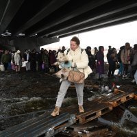 Ukrajinci spašavaju kućne ljubimce