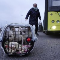 Ukrajinci spašavaju kućne ljubimce