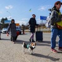 Ukrajinci spašavaju kućne ljubimce
