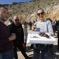 Volonteri čiste Vruju i sade autohtono bilje