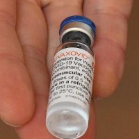 Cijepljenje proteinskim cjepivom u Šibeniku