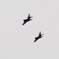 Rafalei i MIG-ovi nad Zagrebom