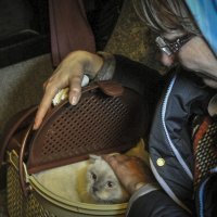 Izbjeglice iz Mariupolja stigle su u Rusiju