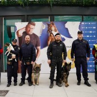 Premijera filma 'Pas'