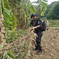 Potraga za ostacima aviona China Eastern Airlinesa u južnoj Kini