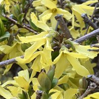 iPhone SE 2022 primjeri fotografija