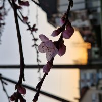 Samsung Galaxy S22+ 5G primjeri fotografija