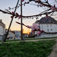 Samsung Galaxy S22+ 5G primjeri fotografija