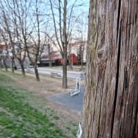 Samsung Galaxy S22+ 5G primjeri fotografija