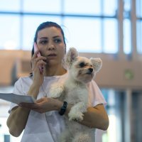 Ukrajinske izbjeglice u Moldaviji