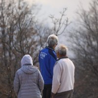 Požar u Vinjanima Donjim