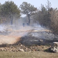 Požar u Vinjanima Donjim