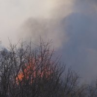 Požar u Vinjanima Donjim