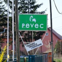 Pevec