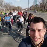 Dobrica Veselinović