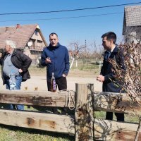 Dobrica Veselinović